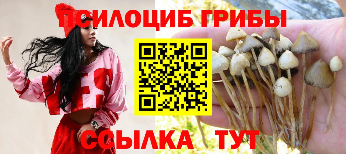 Псилоцибиновые грибы ЛСД  Вход с VPN  Нововоронеж 